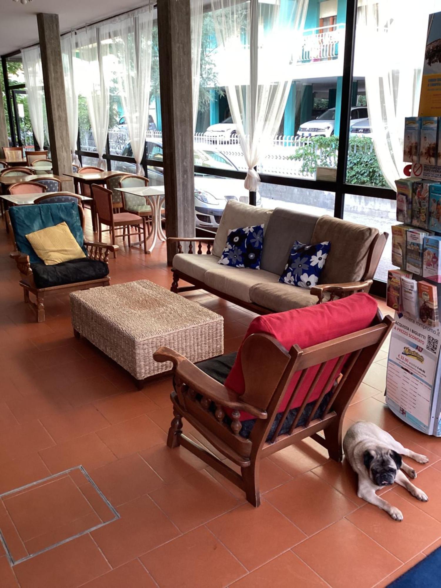 Hotel Villa Alexandra Bellaria-Igea Marina Eksteriør billede
