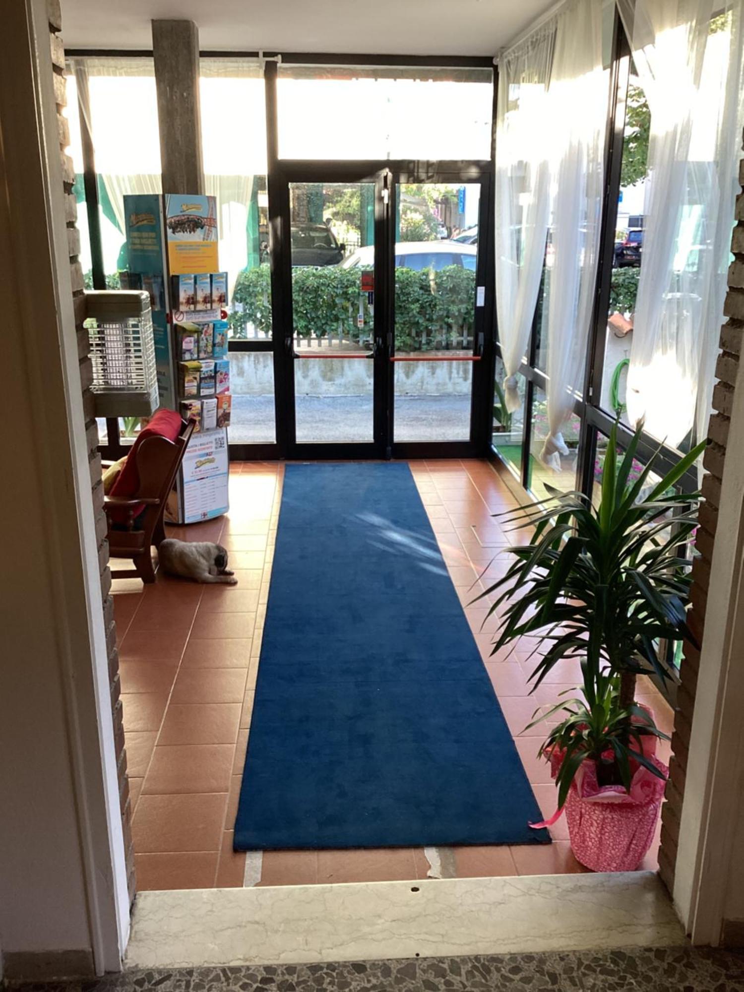 Hotel Villa Alexandra Bellaria-Igea Marina Eksteriør billede